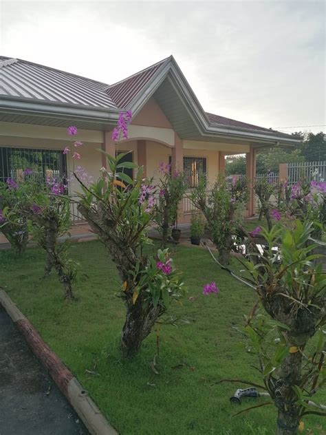 house and lot for sale in zambales|16 properties for sale in San Narciso, Zambales .